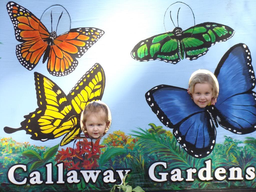  photo DSC03426_zps8d5e3475.jpg