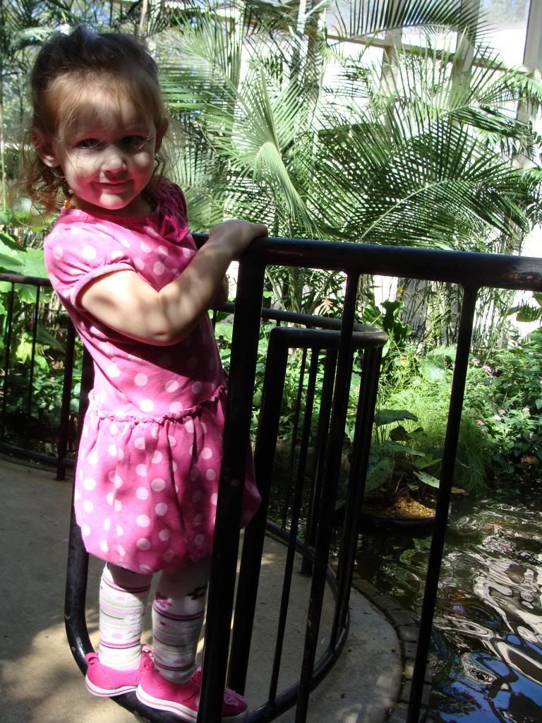  photo DSC03437_zps240d89d0.jpg