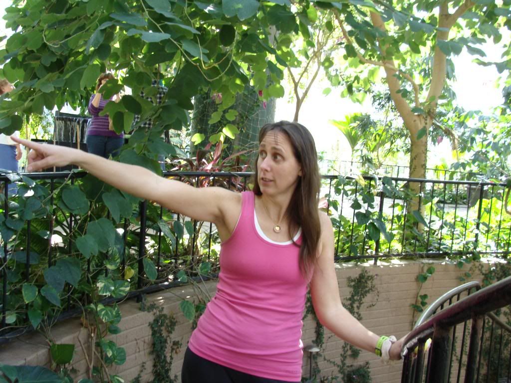  photo DSC03445_zps9dcda0d3.jpg