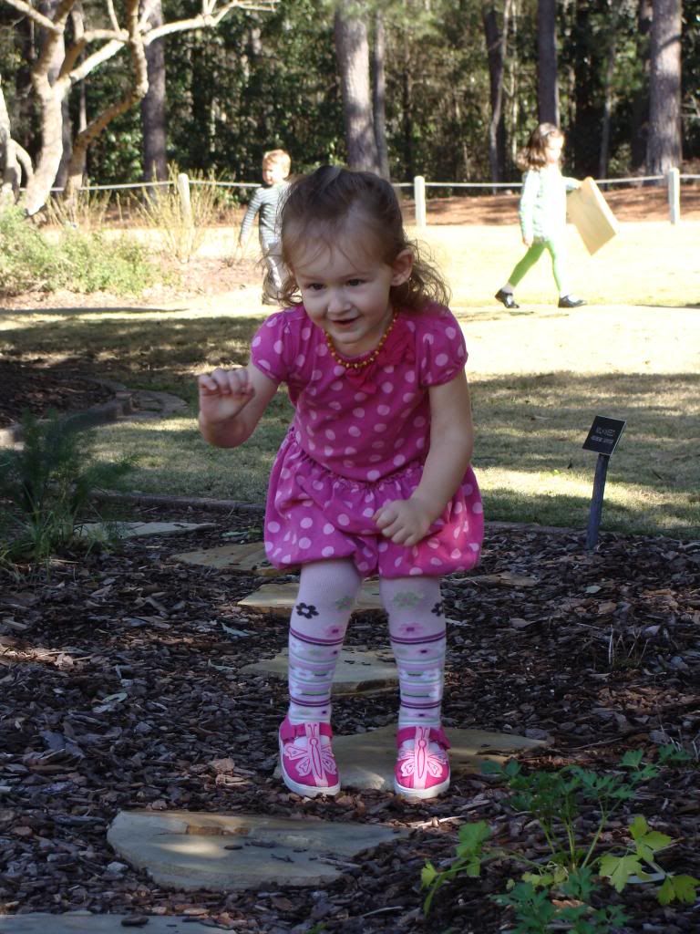  photo DSC03461_zpsc36566f0.jpg