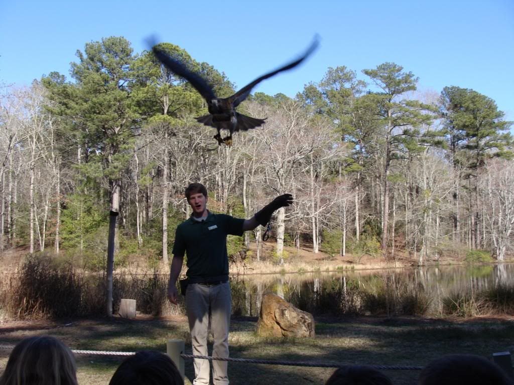  photo DSC03478_zps025686e2.jpg