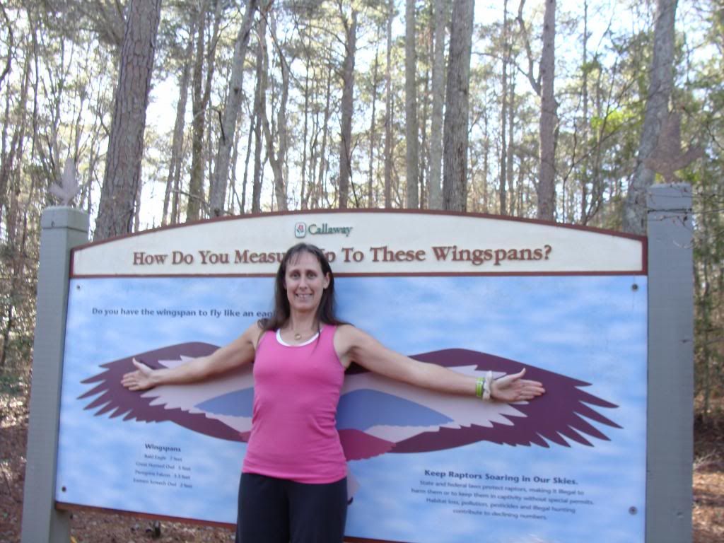  photo DSC03505_zps6905b5e7.jpg