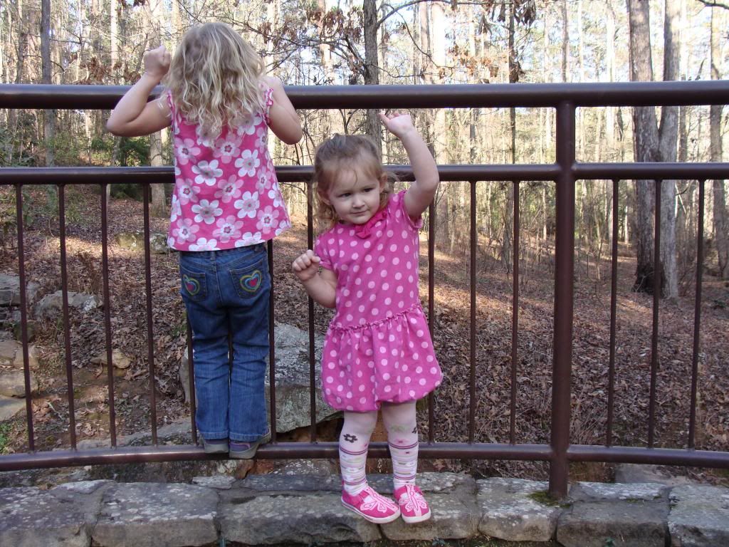  photo DSC03516_zps84c5c56e.jpg