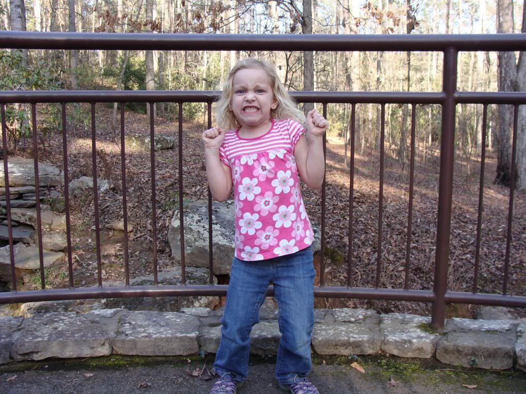  photo DSC03517_zps318e4366.jpg