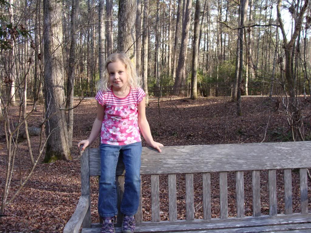  photo DSC03522_zpsf50dd425.jpg