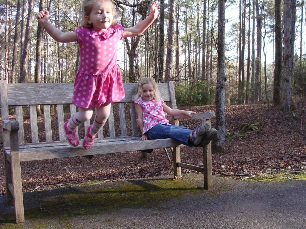  photo DSC03530_zps4276d0cf.jpg