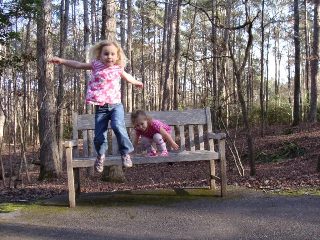  photo DSC03531_zpsff994108.jpg