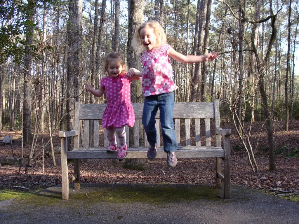  photo DSC03537_zpsf310d047.jpg