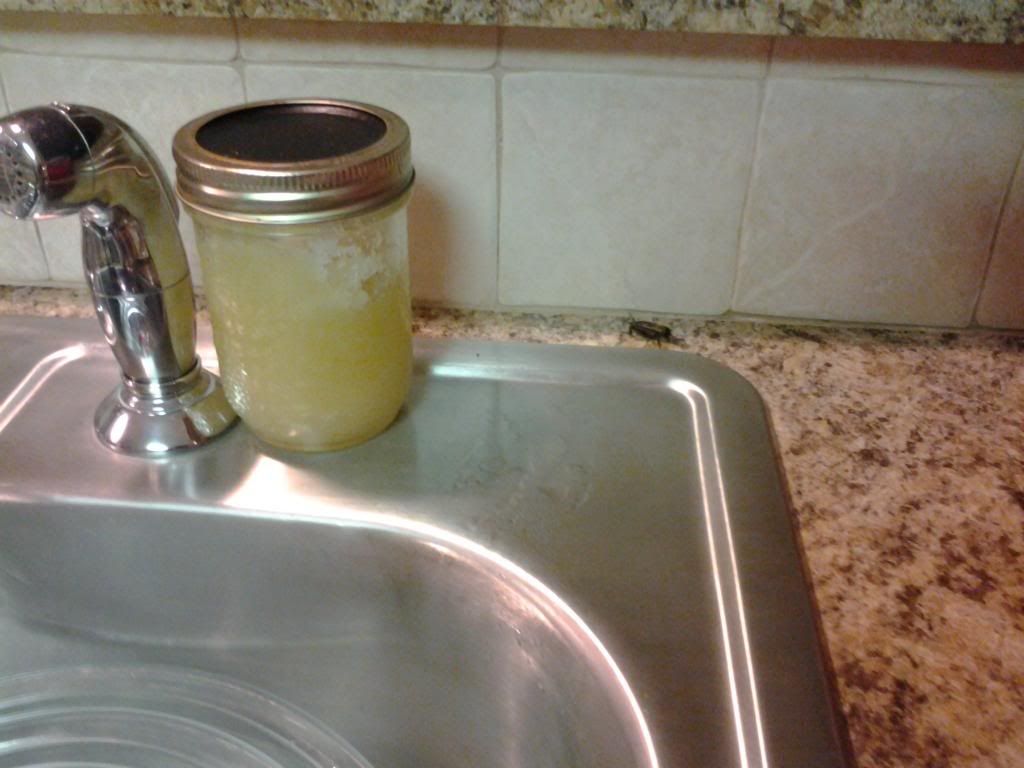  photo 0119131915_zpsd35ad01a.jpg