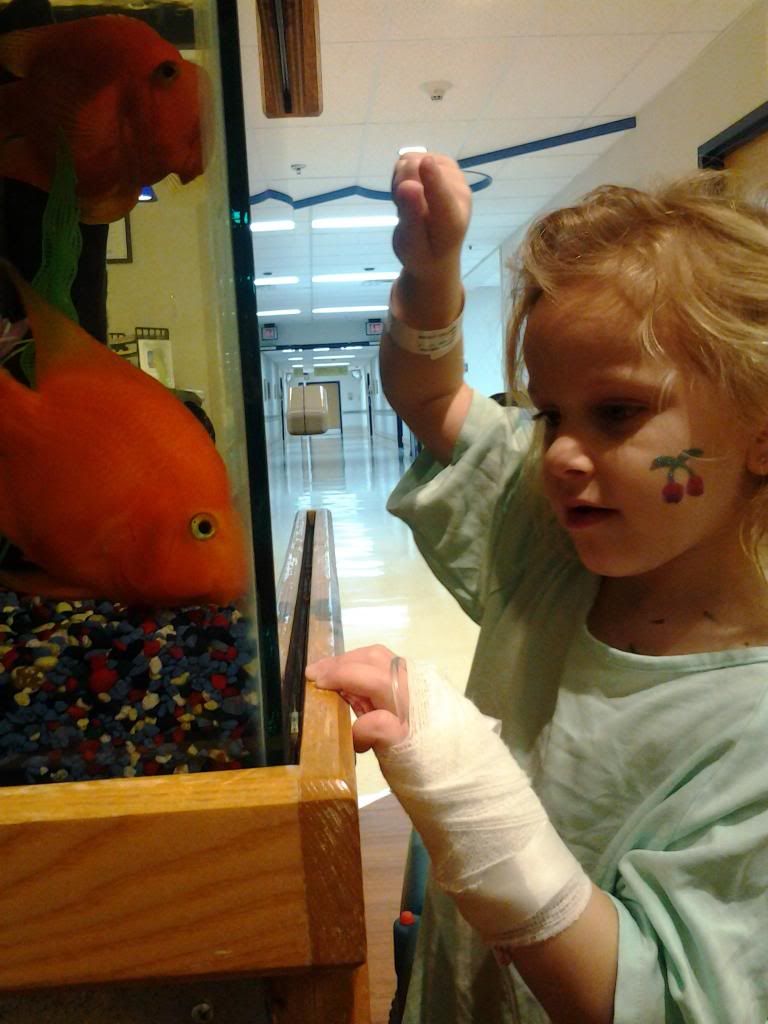  photo 0126130703b_zps2b2551b9.jpg