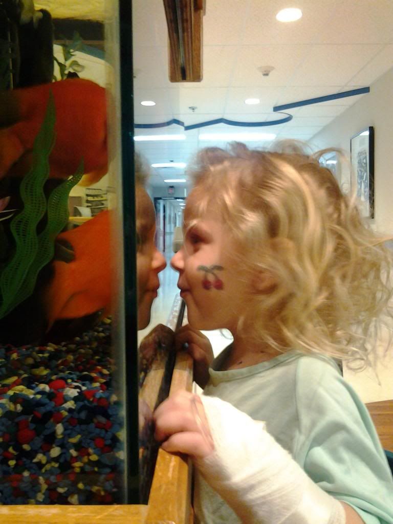  photo 0126130704_zps558d9060.jpg