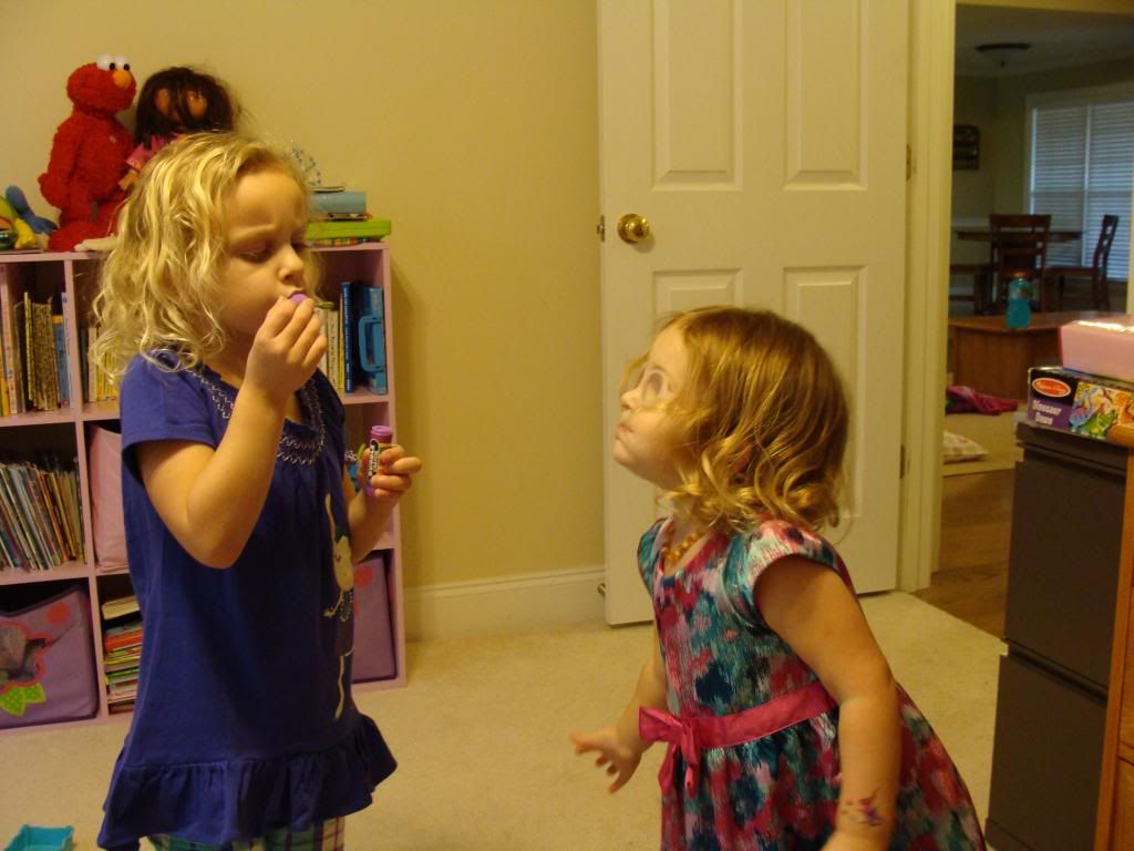  photo DSC02945_zps9fa111b9.jpg