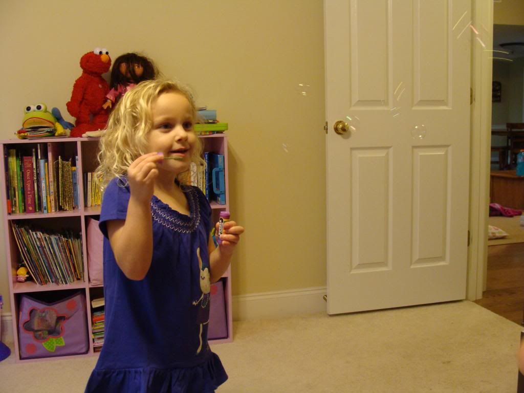  photo DSC02946_zpsbe409dfe.jpg