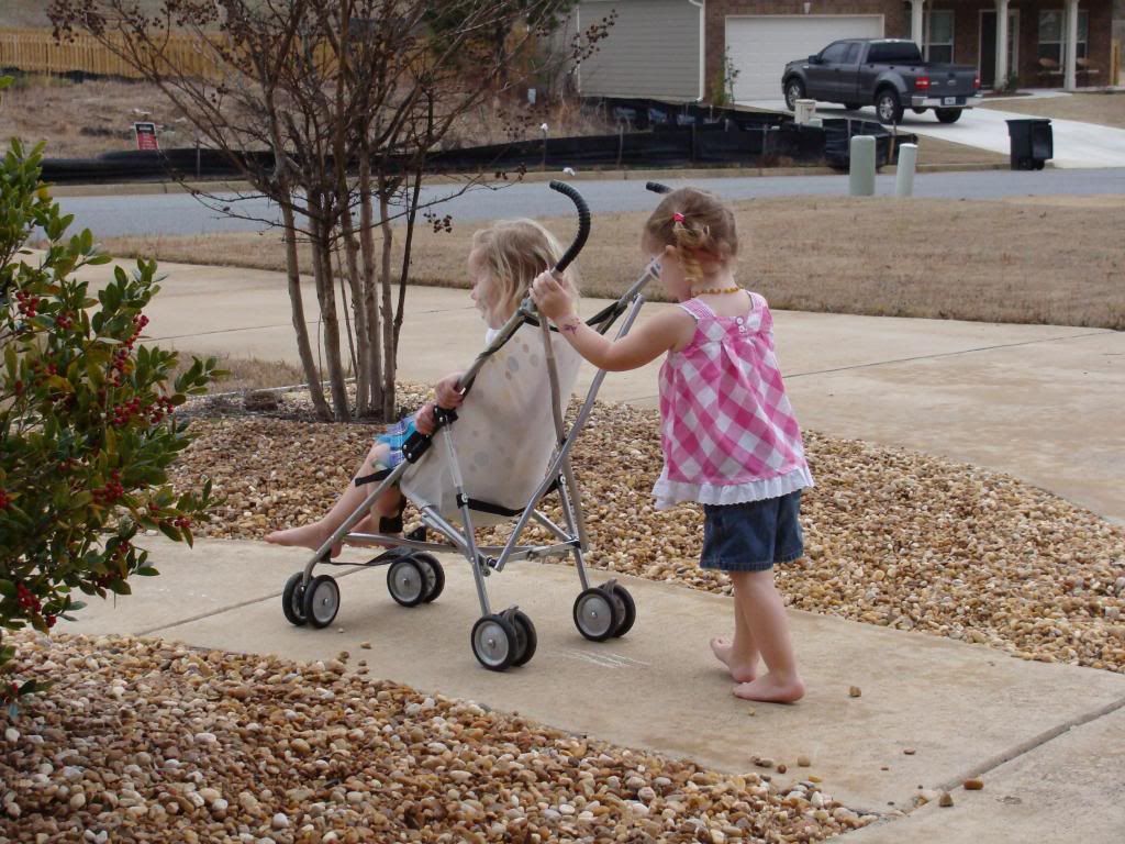  photo DSC03062_zps442296ab.jpg