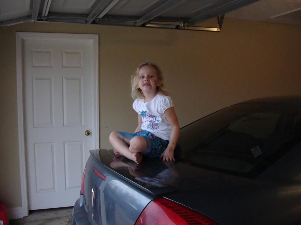  photo DSC03063_zps36e30cba.jpg