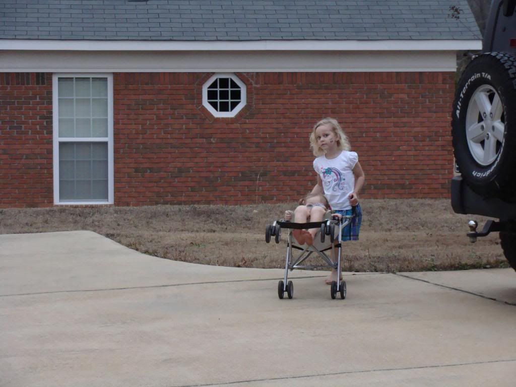  photo DSC03068_zps96bcd0b0.jpg