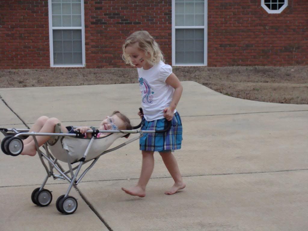  photo DSC03069_zps77b8fe4d.jpg