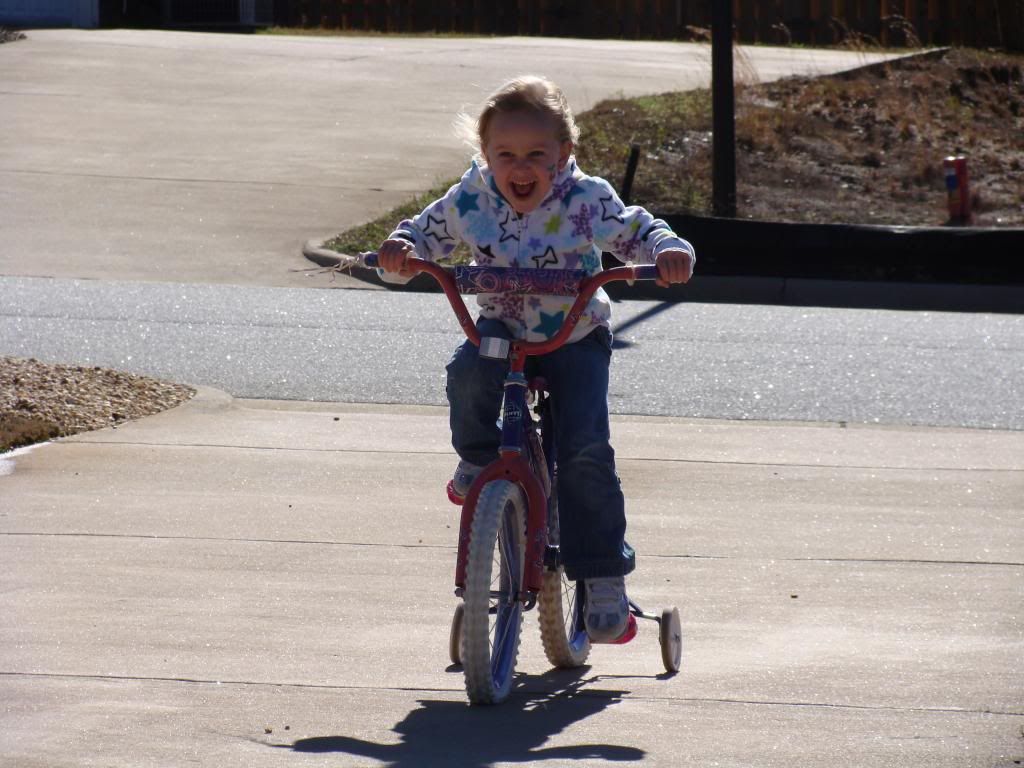  photo DSC03071_zps99729909.jpg