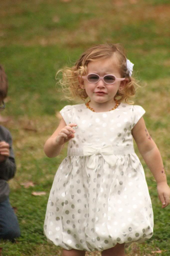  photo IMG_7481_zps4c5b67e4.jpg