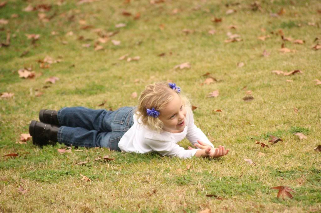  photo IMG_7498_zpsc1e88114.jpg