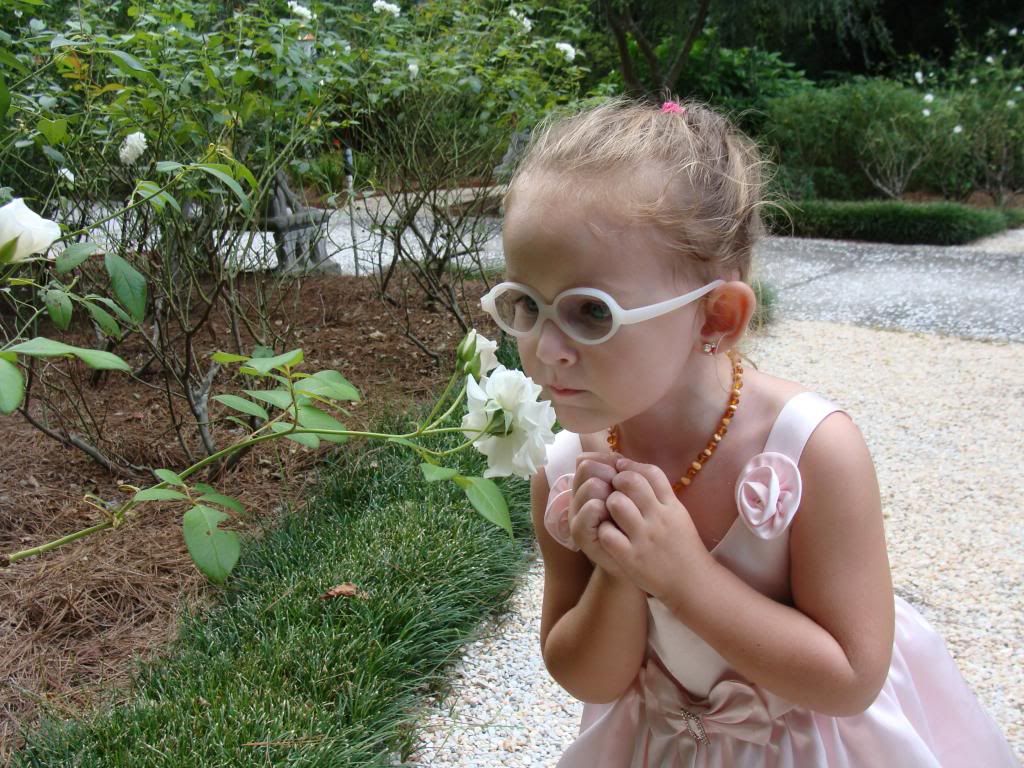  photo 004_zpsce56faa8.jpg