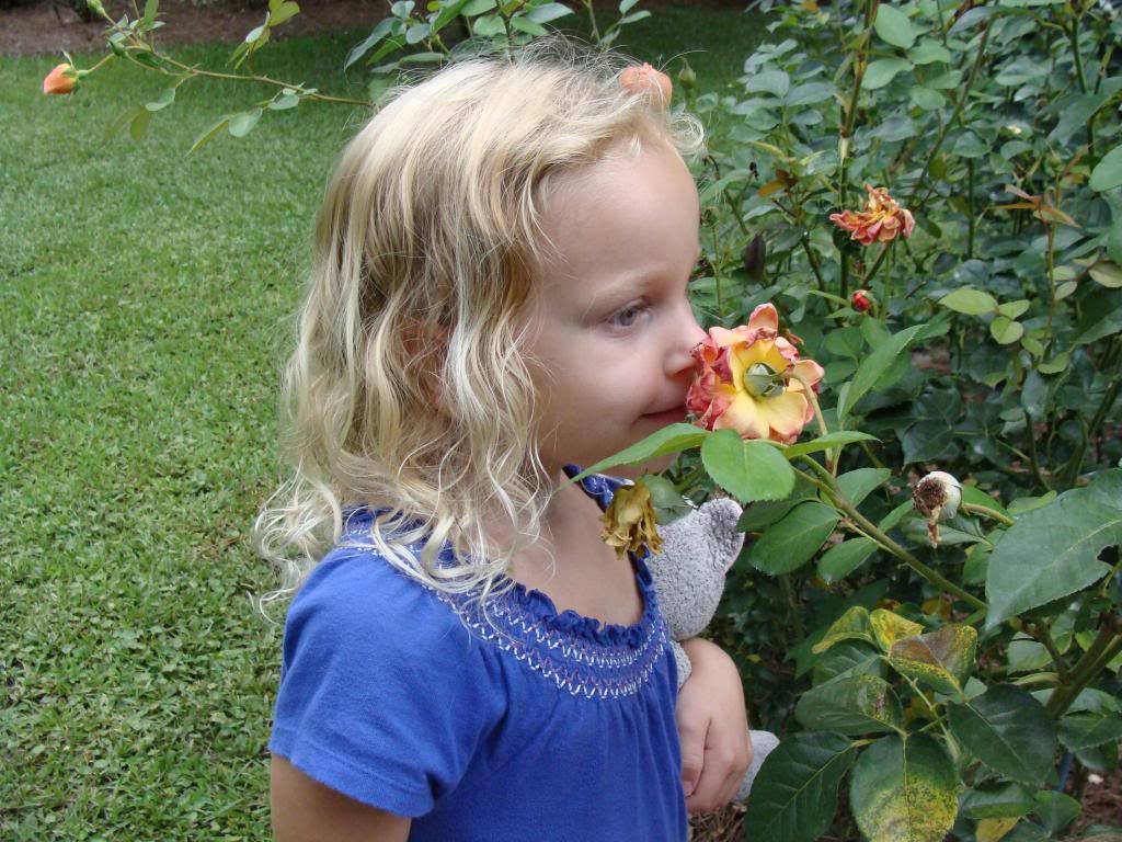  photo 007_zpscf4b2899.jpg