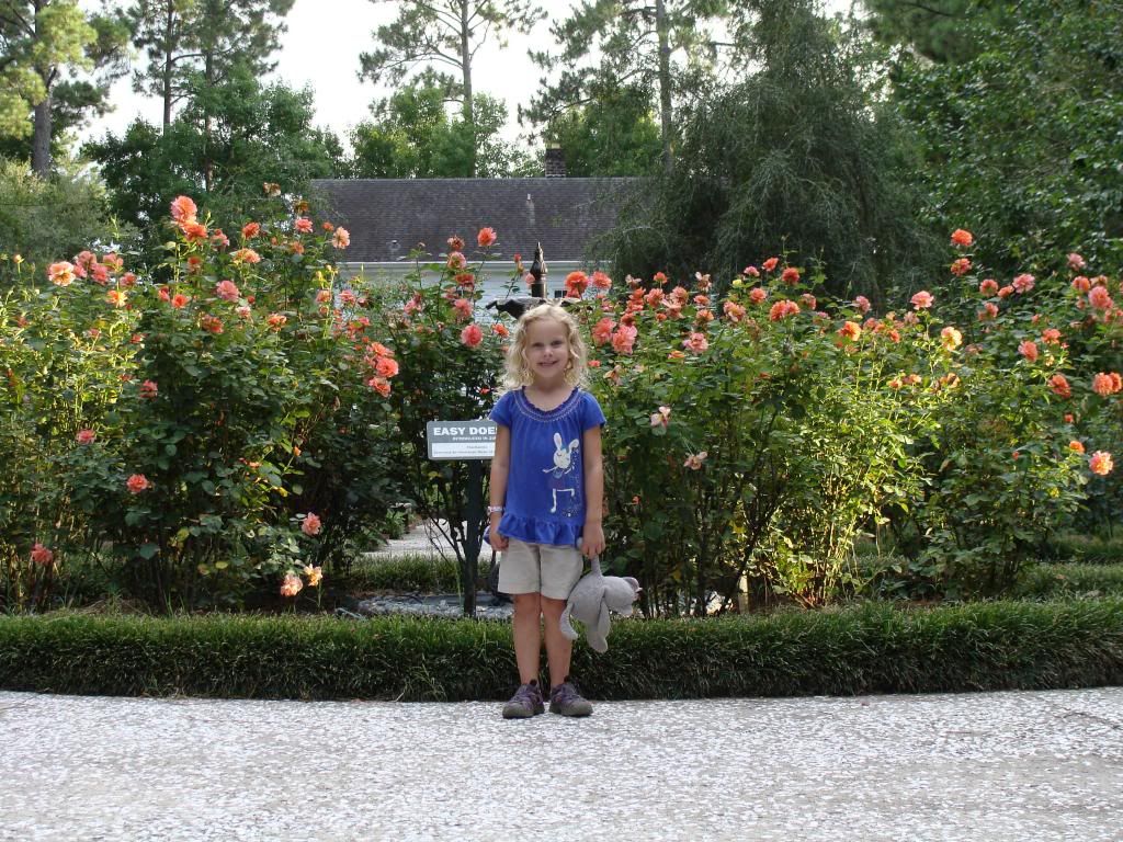  photo 016_zpsdf2ad3f0.jpg