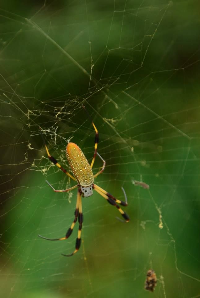  photo 023_zps3185bdd7.jpg