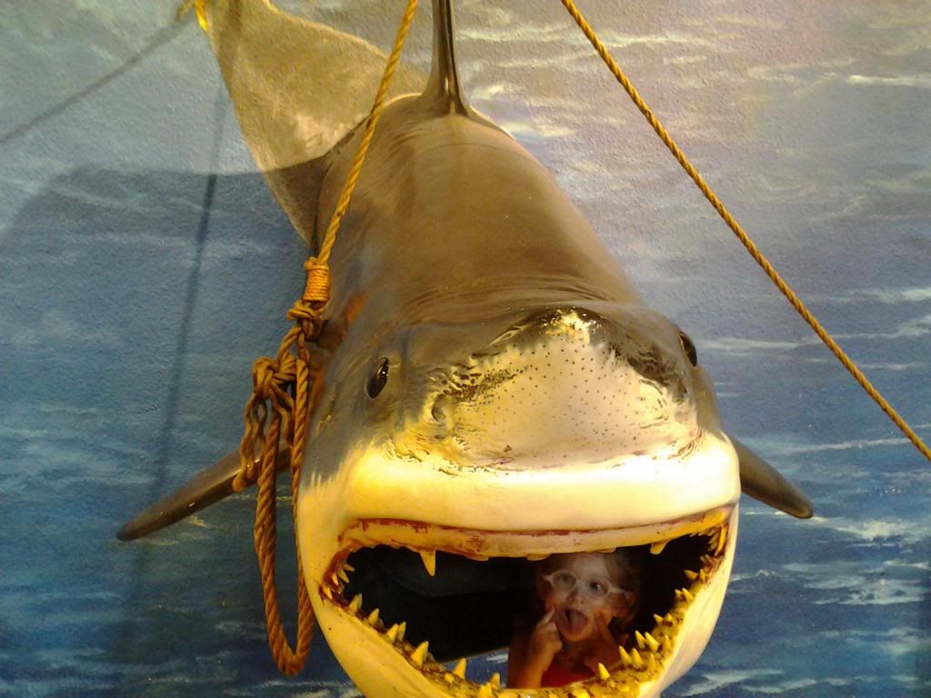  photo 0704131002_zps49de5c83.jpg