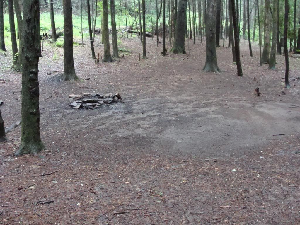  photo DSC05599_zps80fb5225.jpg