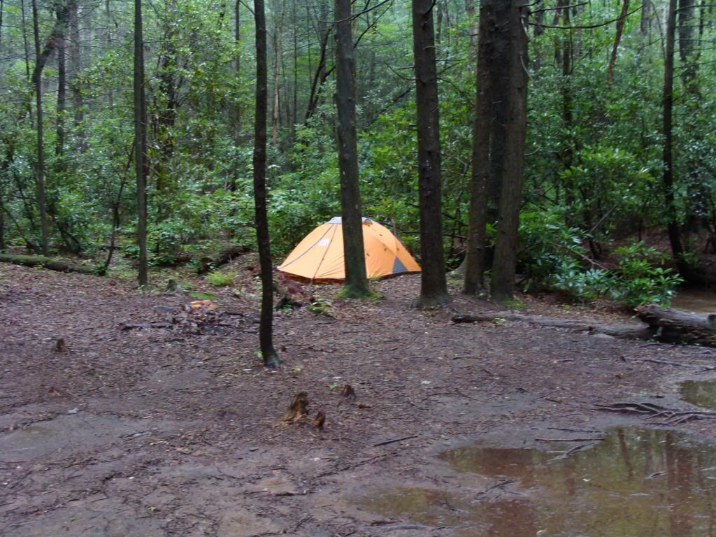  photo DSC05611_zps1eb5f5f3.jpg