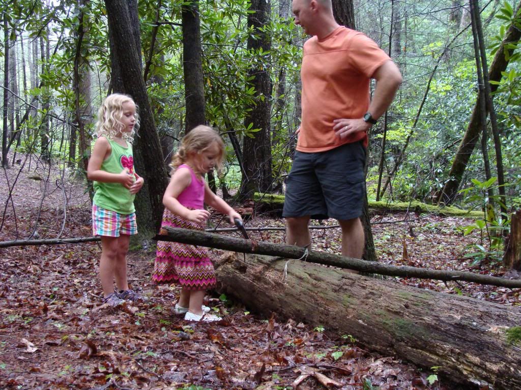  photo DSC05614_zpsb4aed3fc.jpg