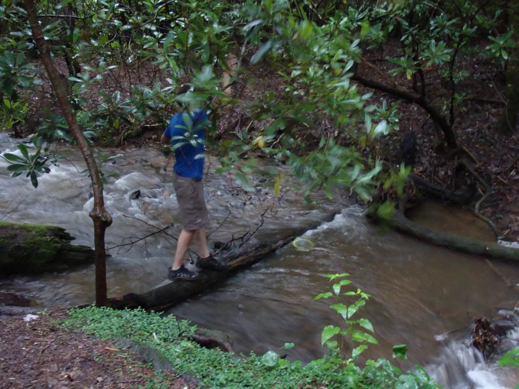  photo DSC05632_zps590a946f.jpg