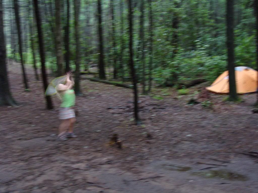  photo DSC05637_zps1f678aa1.jpg