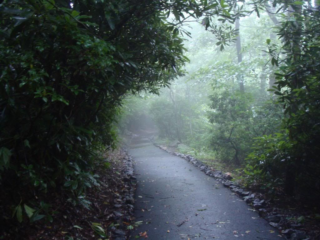  photo DSC05646_zpsfe266635.jpg