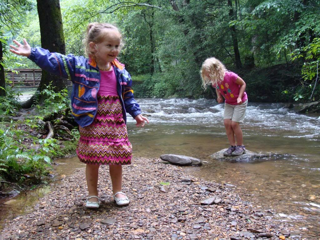  photo DSC05673_zps6926f5cc.jpg