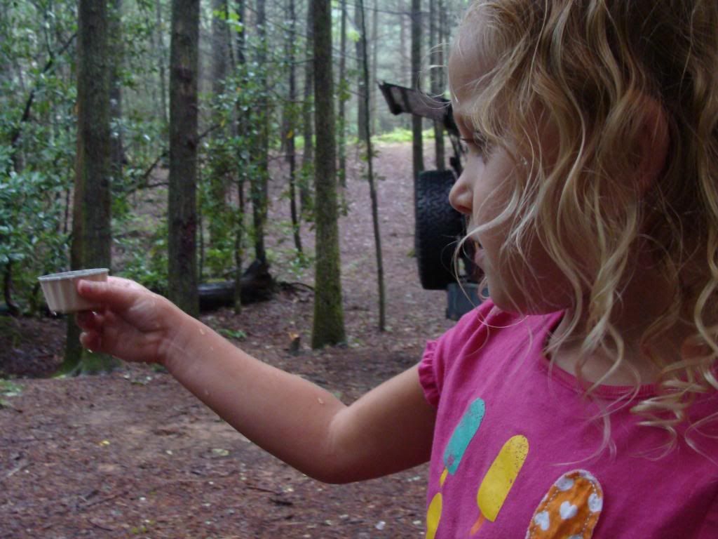  photo DSC05747_zps549b044e.jpg