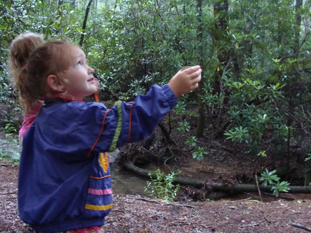  photo DSC05761_zps0e2cac5c.jpg