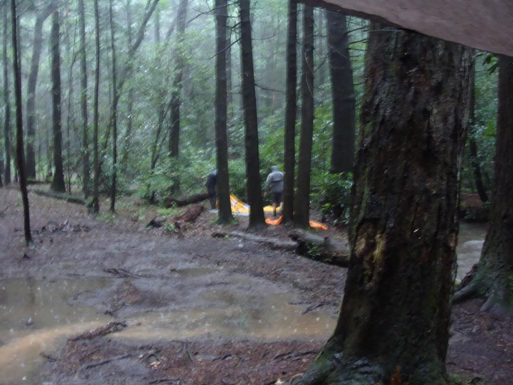  photo DSC05766_zps4a455cb3.jpg