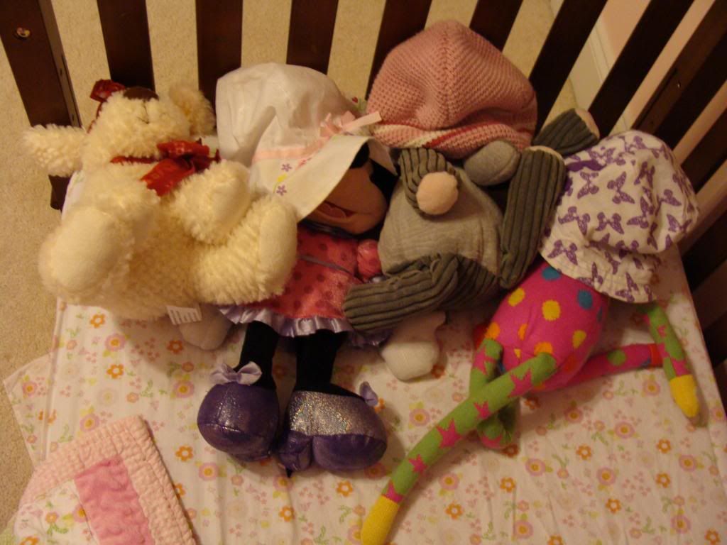  photo DSC03538_zps2bb2f203.jpg