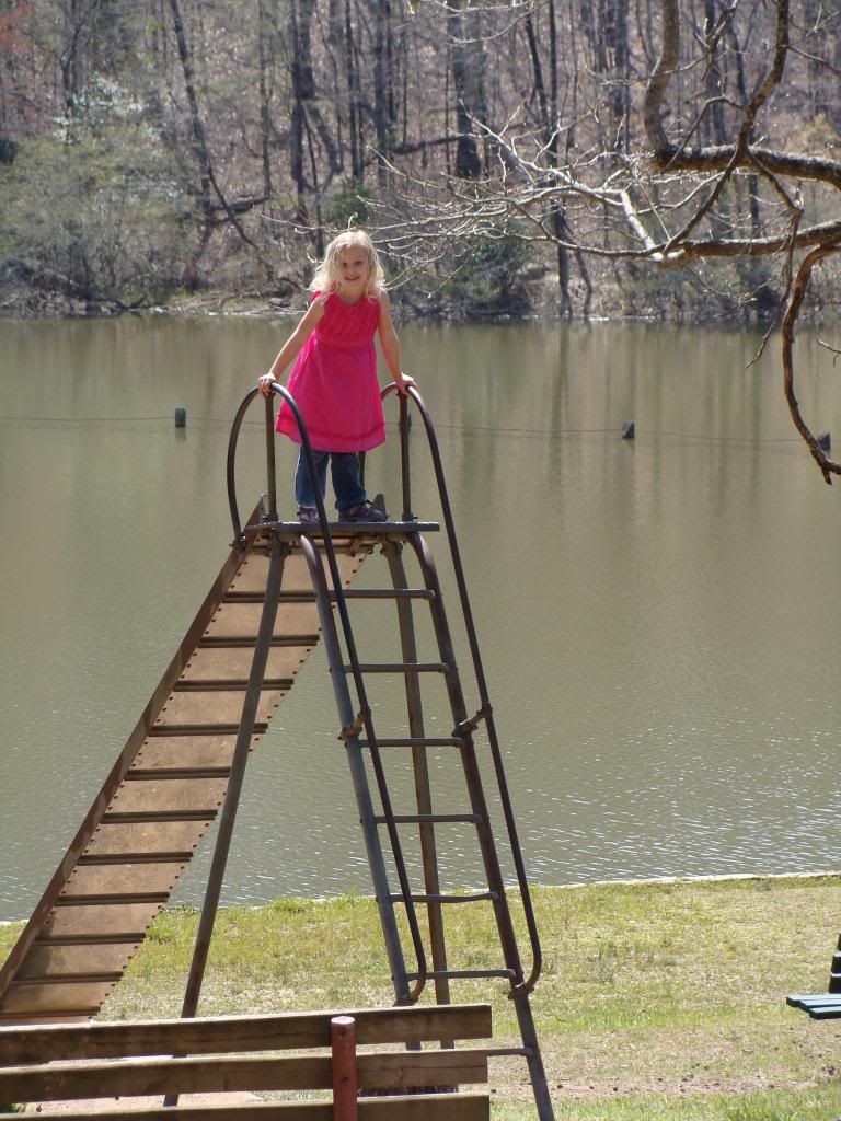  photo DSC03985_zps5de7ec82.jpg