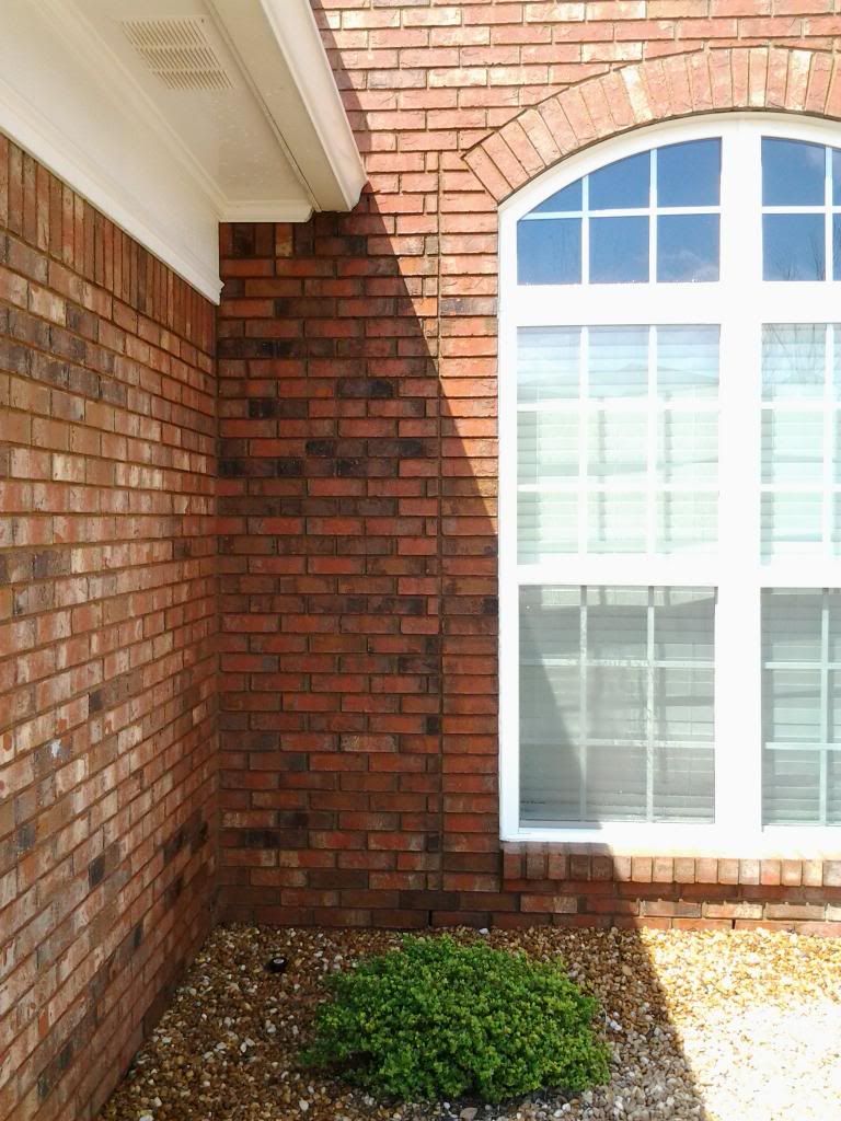 photo 0517131539a_zpsc1fc88da.jpg