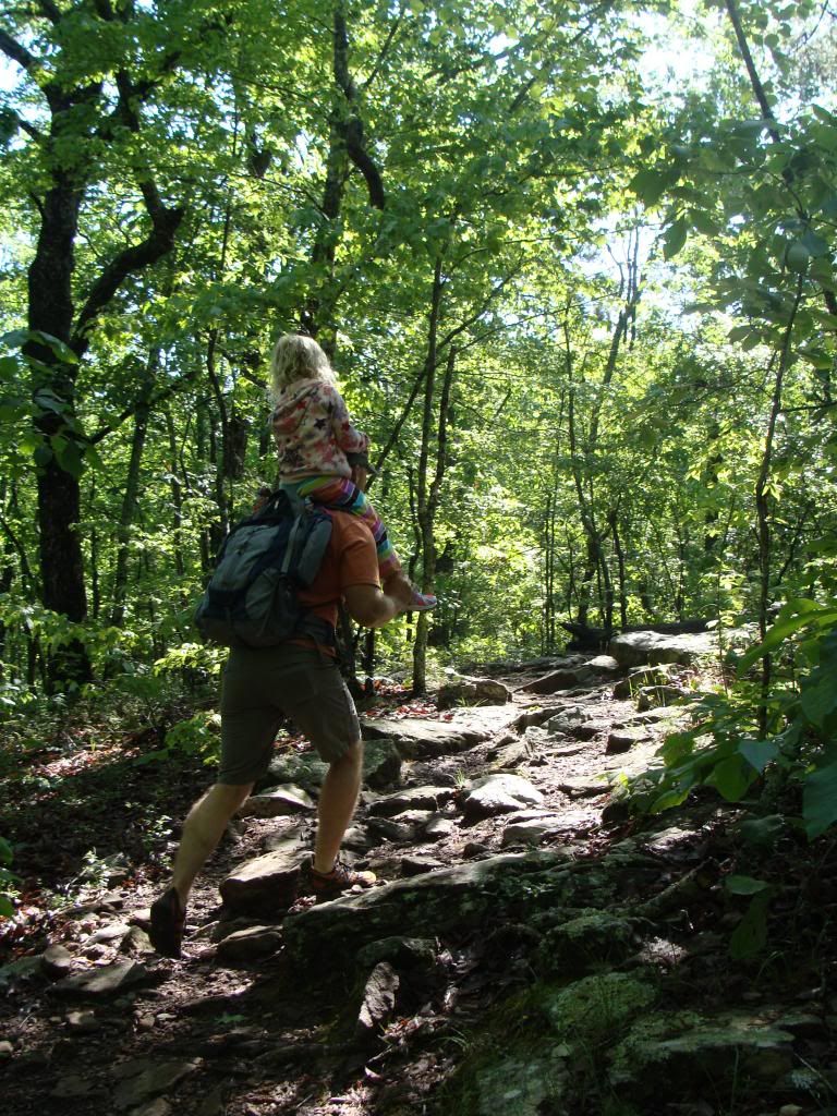  photo DSC04692_zps2a215db3.jpg