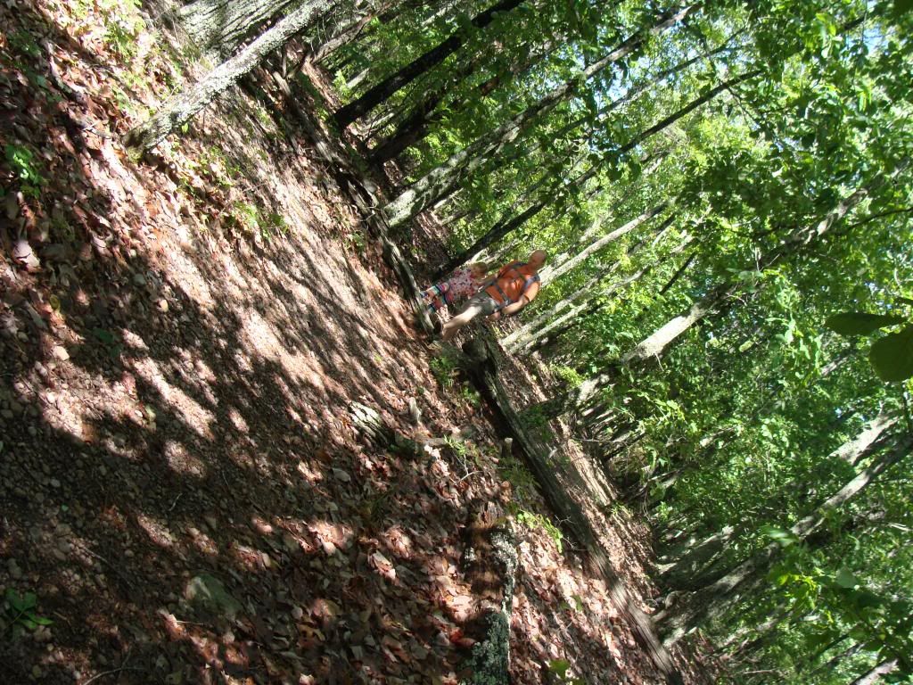  photo DSC04713_zpsc4c4623c.jpg