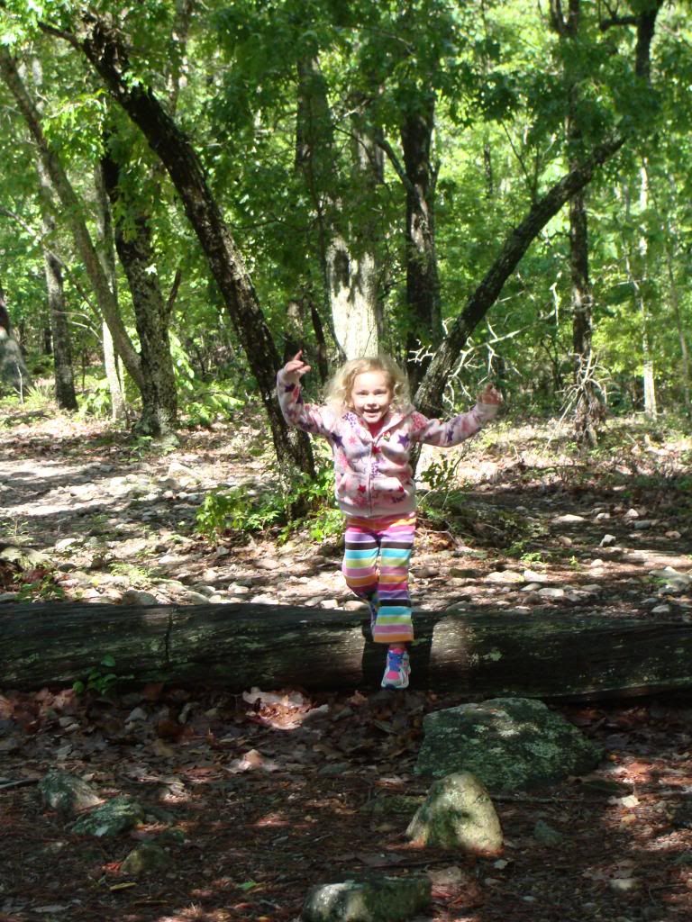  photo DSC04716_zps8365cc1d.jpg