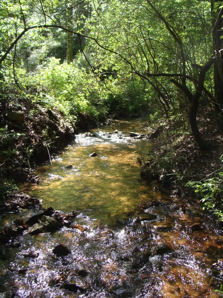  photo DSC04719_zps7ea6e610.jpg