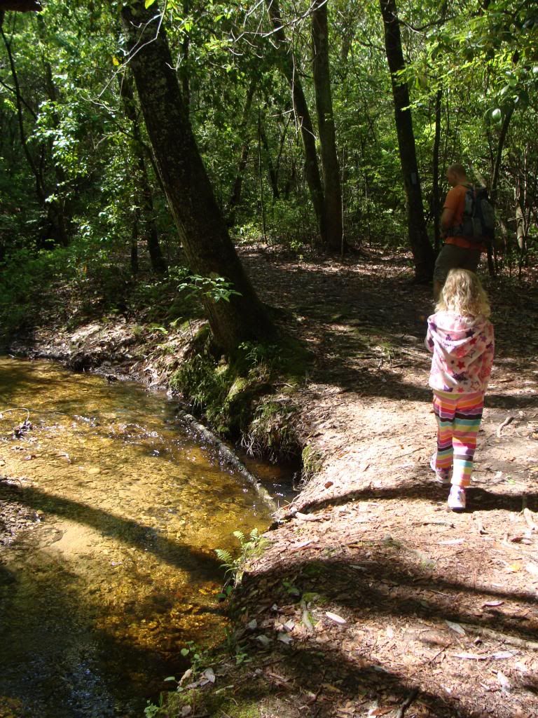  photo DSC04722_zps1b318f4c.jpg