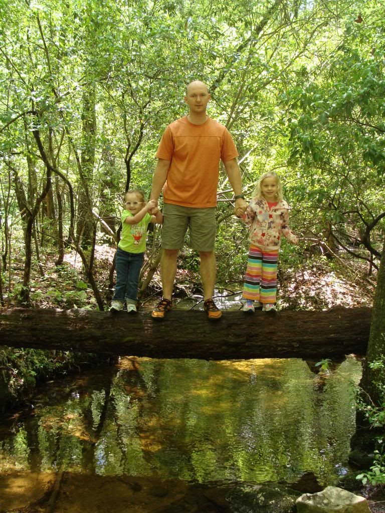  photo DSC04752_zps360df9f3.jpg