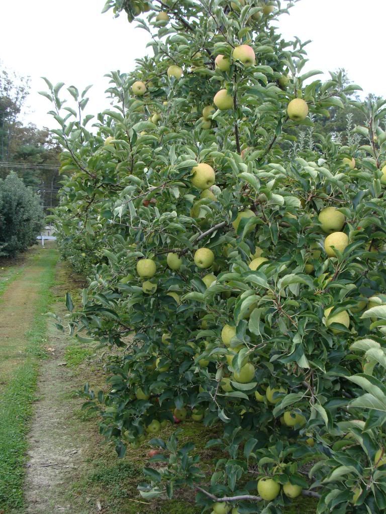  photo DSC06388_zpsd92655b3.jpg