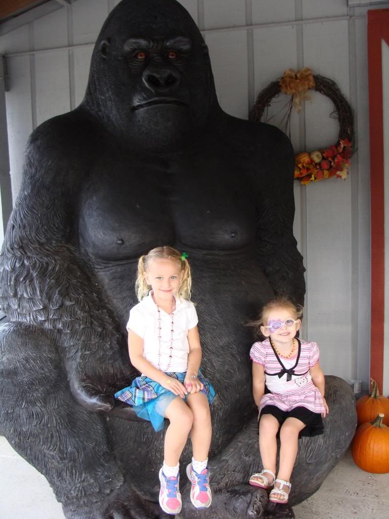  photo DSC06392_zpsaa6a3887.jpg